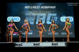 WELLNESS НОВИЧКИ